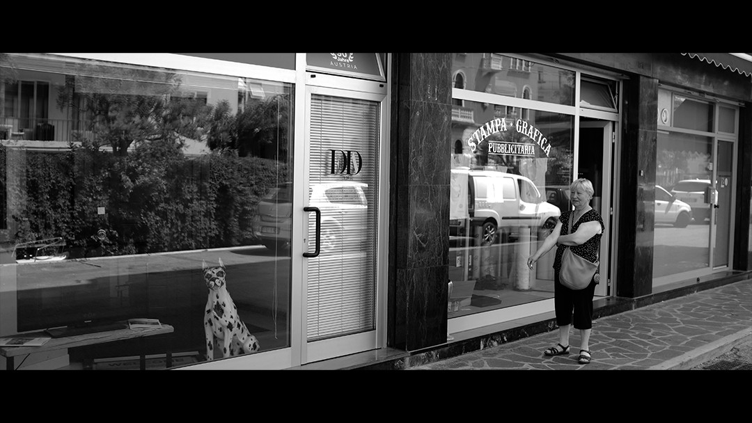 Black and white photo 16