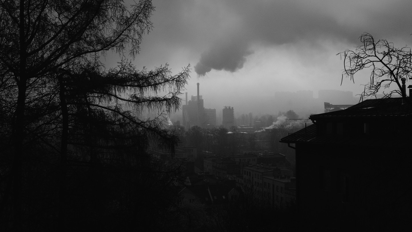 Black and white photo 23